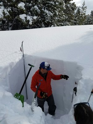 Paragon Guides by null