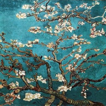 Van Gogh Museum - Museums Near Me - Amsterdam, New Hampshire Van Gogh Museum - Museums Near Me - Amsterdam, New Hampshire