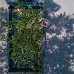 Chop Nashville - What can't be salvaged for furniture will be chipped for Nashville's community gardens.