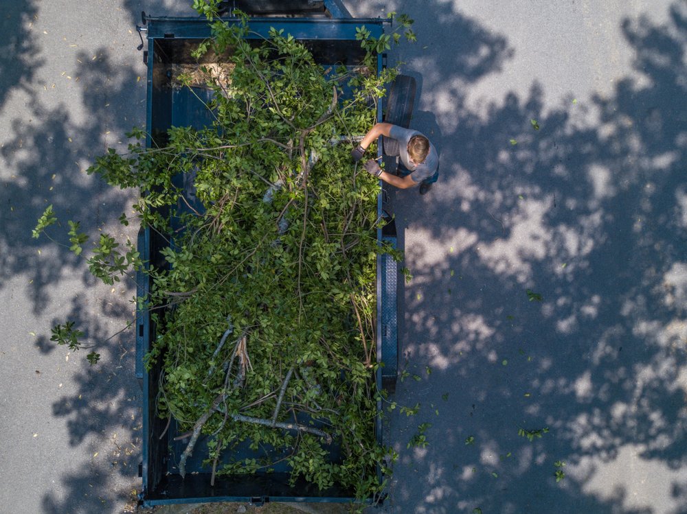 Chop Nashville - tree service in Nashville, TN