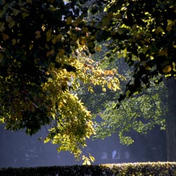 Schlossgarten