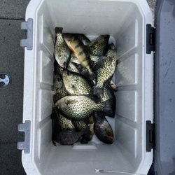 River Bent Outfitters
