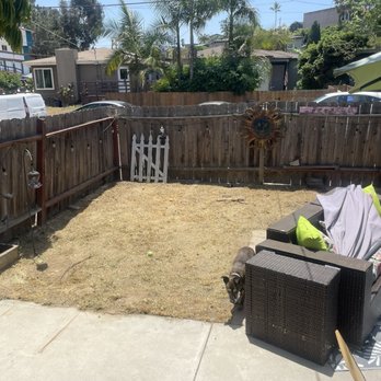 Love Branch Tree Pros - Some before and afters. - Tree Services Near Me