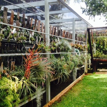 Andy's Orchids - Nurseries & Gardening Near Me - Encinitas, California