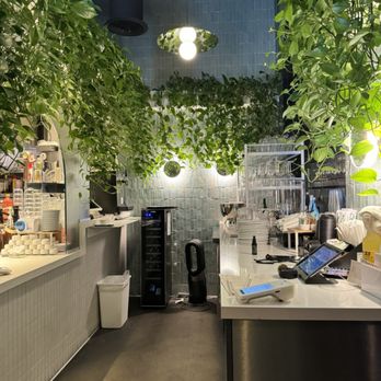 Interstellar - Interior - Coffee & Tea Near Me - Santa Monica, California Interstellar - Interior - Coffee & Tea Near Me - Santa Monica, California