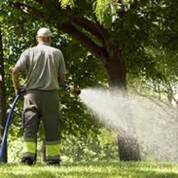 Davis Tree Care - Spray application - Landscaping Near Me - Forest Park, Illinois