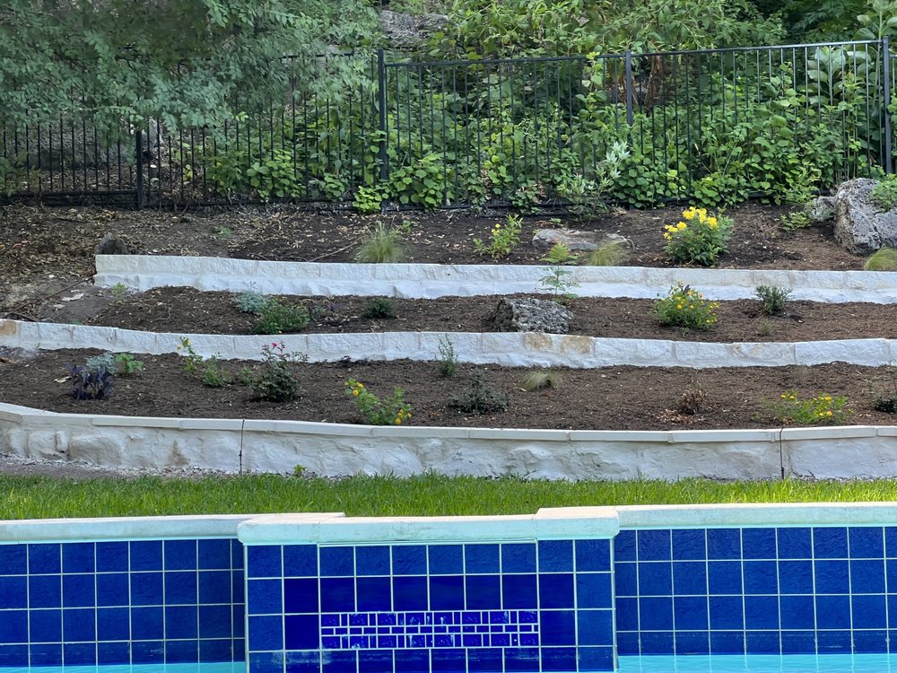 Woody's Tree Service & Landscape - tree service in Austin, TX