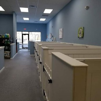 What The Pup - Pet groomer grooming forked river ocean county - Pet Groomers Near Me - Forked River, New Jersey What The Pup - Pet groomer grooming forked river ocean county - Pet Groomers Near Me - Forked River, New Jersey