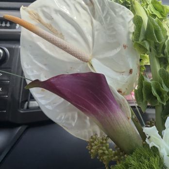 Winter Park Florist - Florists Near Me - Maitland, Florida
