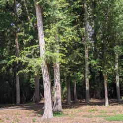 Harborview / Fort Johnson Park