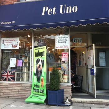 Pet Uno - Dog Walkers Near Me - Toronto, Ontario Pet Uno - Dog Walkers Near Me - Toronto, Ontario