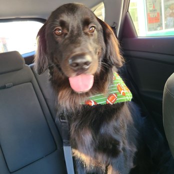 Zen Dog Grooming - Pet Groomers Near Me - Quakertown, Pennsylvania Zen Dog Grooming - Pet Groomers Near Me - Quakertown, Pennsylvania