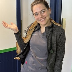 Aspen Companion & Exotic Animal Clinic