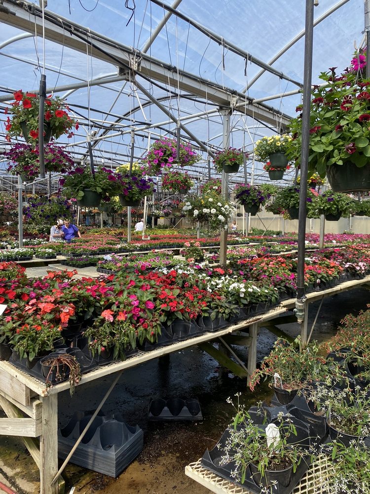 COUNTRY PLACE GREENHOUSE Updated September 2024 13 Photos 3797