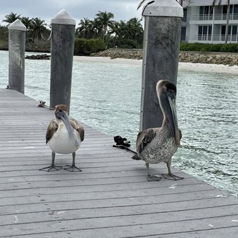 South Seas - Resorts Near Me - Captiva, Florida South Seas - Resorts Near Me - Captiva, Florida