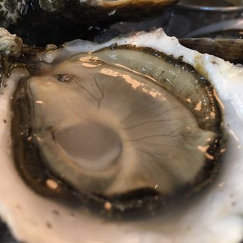 Taylor Shellfish Oyster Bar - One of the Fat Bastard oysters - average taste, good texture - Seafood Near Me - Seattle, Washington Taylor Shellfish Oyster Bar - One of the Fat Bastard oysters - average taste, good texture - Seafood Near Me - Seattle, Washington