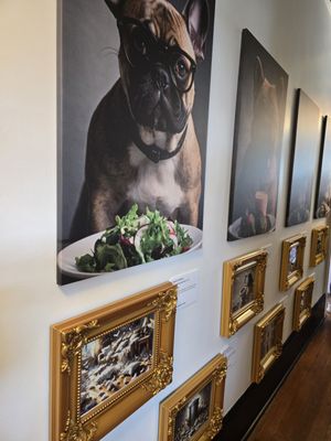 Fur Bébé Cafe by null