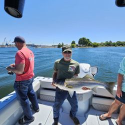 Harvester Fishing Charters