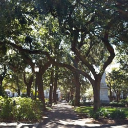 Savannah Taste Experience