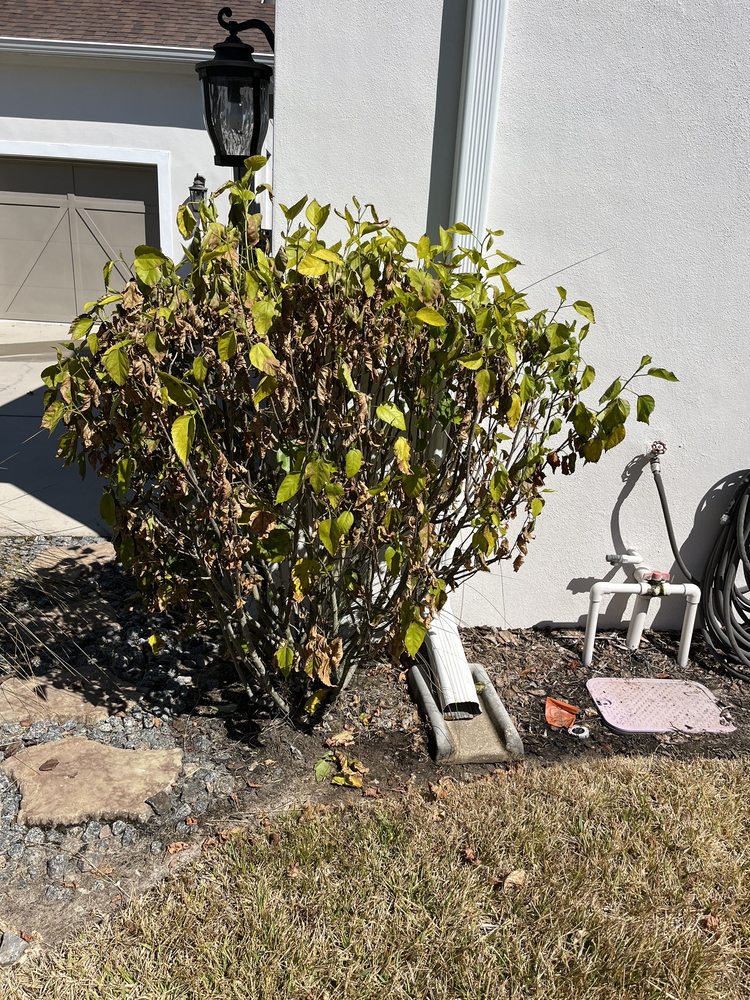 Slide of Hammerhead Roof and Structure Softwash