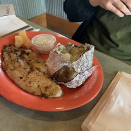 White Fish Fillets