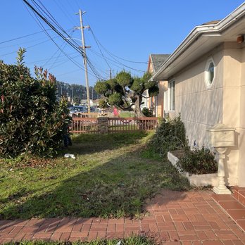 ML Tree Service - Tree removal - Tree Services Near Me - Redwood City, California ML Tree Service - Tree removal - Tree Services Near Me - Redwood City, California