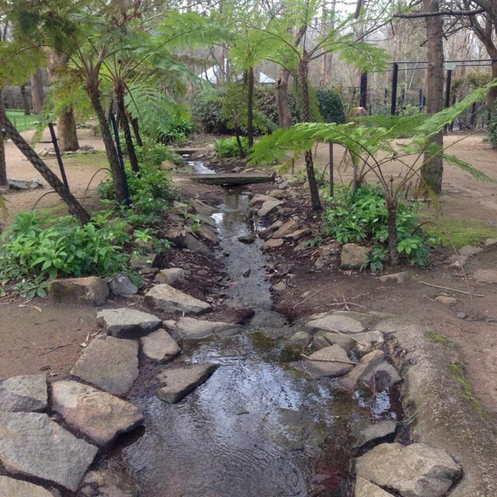 Ashcombe Maze & Lavender Gardens - Waterfall tier. - Food Near Me - Shoreham, VIC
