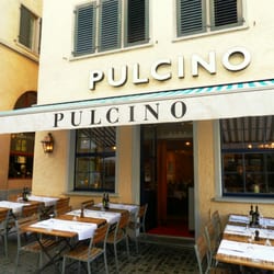Pulcino