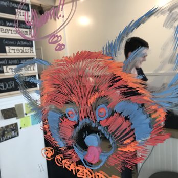 Happy Gut Sanctuary - Kombucha Near Me - Rochester, New York Happy Gut Sanctuary - Kombucha Near Me - Rochester, New York