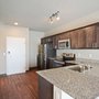 Photo of Cambium