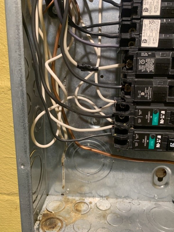 Slide of Ryl and Services