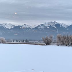 Hotel view