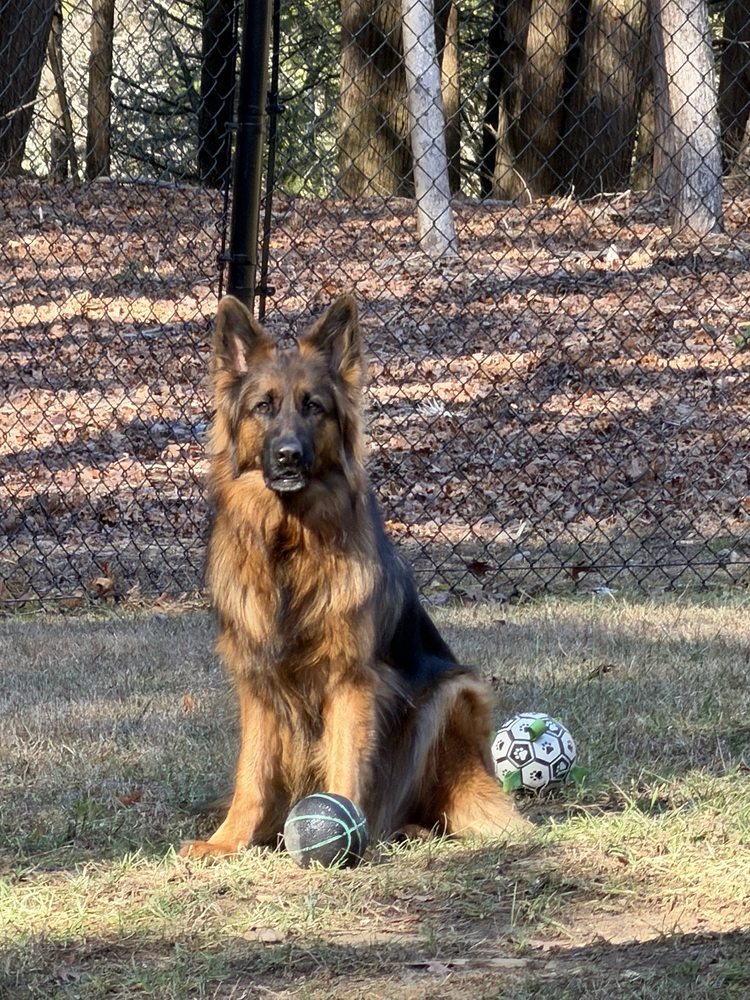 o Jupiter Florida Real Estate For Sale