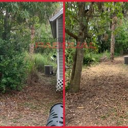 Pascual Services - A little property clean up