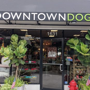 Downtown Dogs - Pet Stores Near Me - Tampa, Florida Downtown Dogs - Pet Stores Near Me - Tampa, Florida