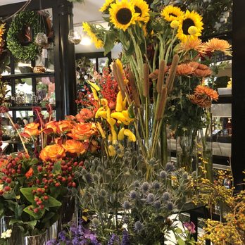 The Enchanted Florist - Florists Near Me - Alexandria, Virginia The Enchanted Florist - Florists Near Me - Alexandria, Virginia