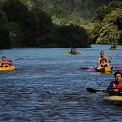 O Pioneiro do Mondego - Kayak tours Portugal - Pioneiro kayak trips between Penacova and Torres (Coimbra)