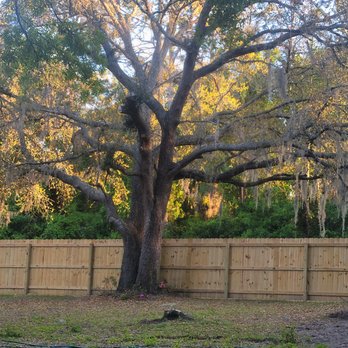 Leal Property Solutions - Fences & Gates Near Me Leal Property Solutions - Fences & Gates Near Me