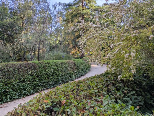 Real Jardín Botánico by null