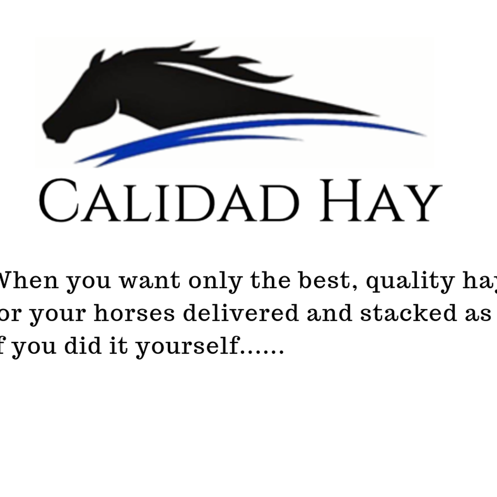 THE BEST 10 HORSE EQUIPMENT SHOPS near CITRA, FL 32113 - Updated 2026 -  Hours - Yelp