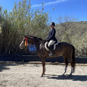 Gladstone Equestrian - Horseback Riding Near Me - San Juan Capistrano, California Gladstone Equestrian - Horseback Riding Near Me - San Juan Capistrano, California