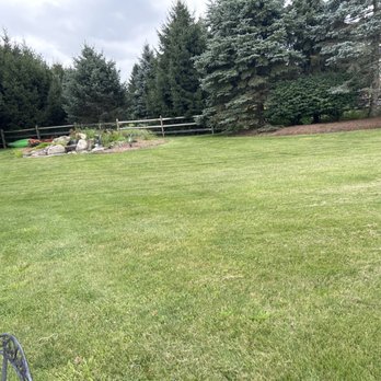 POOP 911 - Pet Waste Removal Near Me POOP 911 - Pet Waste Removal Near Me