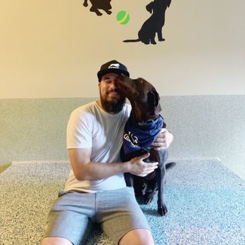 LA Dog Experts - Pet Training Near Me LA Dog Experts - Pet Training Near Me