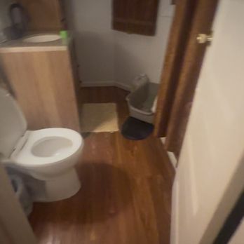 Purity & Harmony Clean - Toilet cleaned and bleached out - Junk Removal & Hauling Near Me