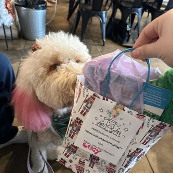 Made Coffee - They gave us a Christmas gift for my dog - Coffee & Tea Near Me - Fullerton, California Made Coffee - They gave us a Christmas gift for my dog - Coffee & Tea Near Me - Fullerton, California