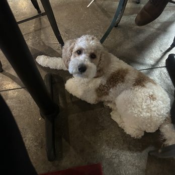 Pale Fire Brewing - Dog friendly too! - Breweries Near Me - Harrisonburg, Virginia Pale Fire Brewing - Dog friendly too! - Breweries Near Me - Harrisonburg, Virginia