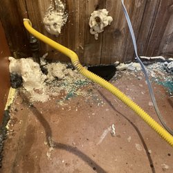 C and K Pest Control and Wildlife Services - Rodent issues