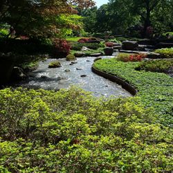 Japanischer Garten