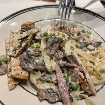 Mandola's Italian Kitchen - Chicken Alfredo with mushrooms, peas, proccuto - Bakeries Near Me - Tampa, Florida Mandola's Italian Kitchen - Chicken Alfredo with mushrooms, peas, proccuto - Bakeries Near Me - Tampa, Florida