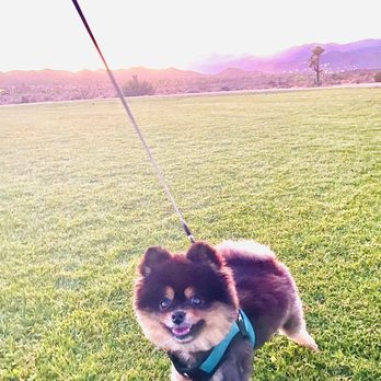 Essig Park - Dog Parks Near Me - Yucca Valley, California